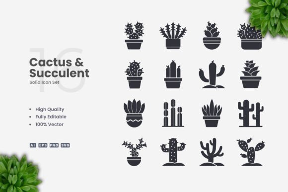 Cactus and Succulent Solid Icons