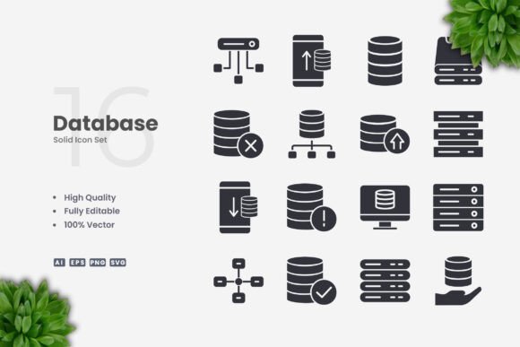 Database Solid Icons Review